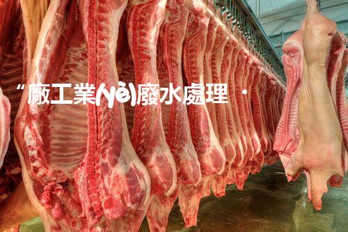 “廠工業(yè)廢水處理，綠色環(huán)保新篇章”
